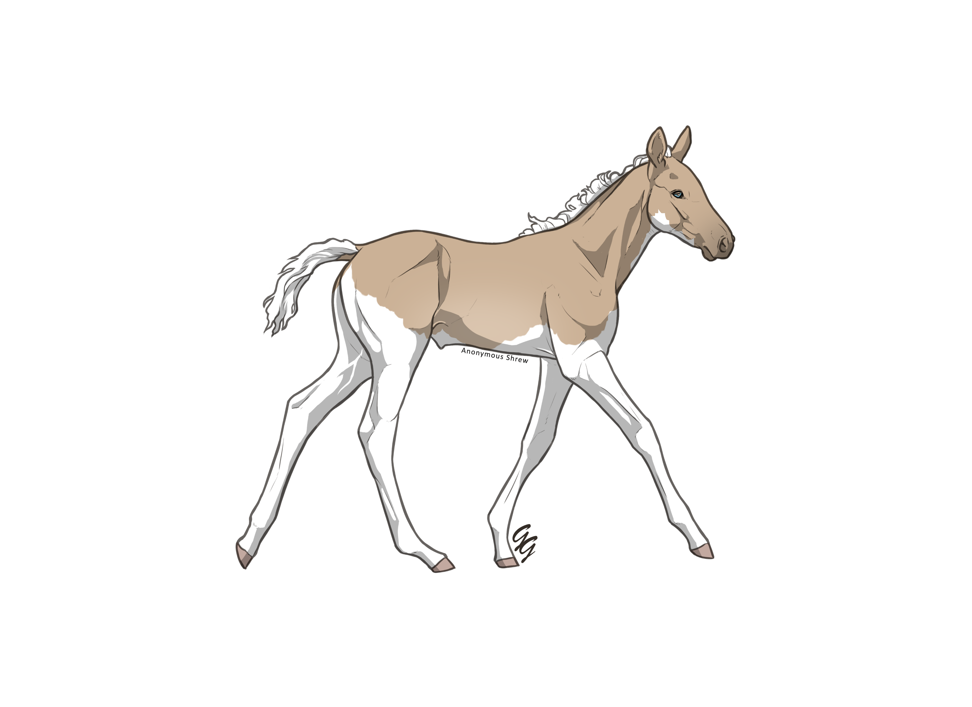 b32Lk.png