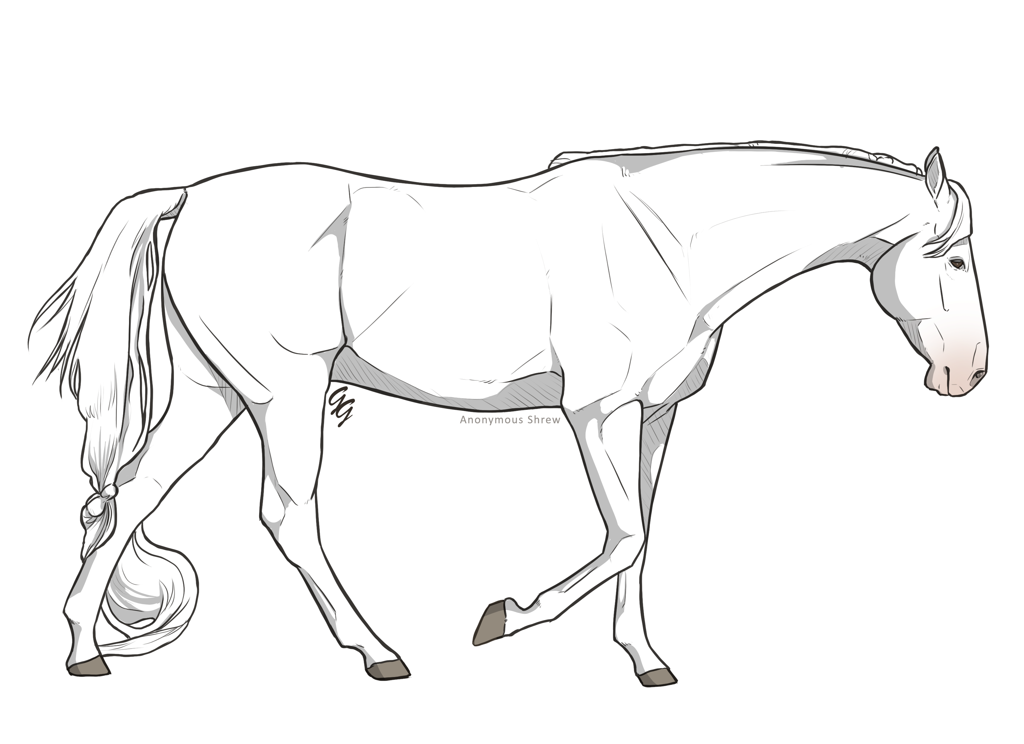 b32N5.png