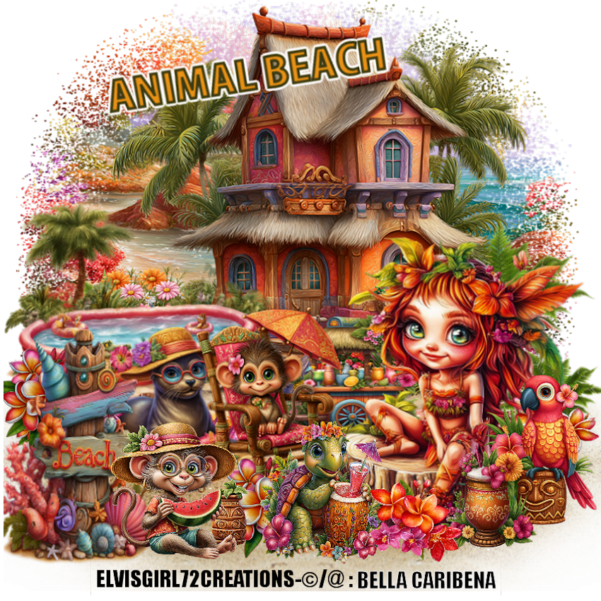 ANIMAL BEACHPNG850 28JUNI2025