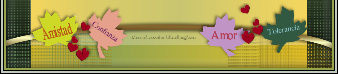 arbolhechicerabajo