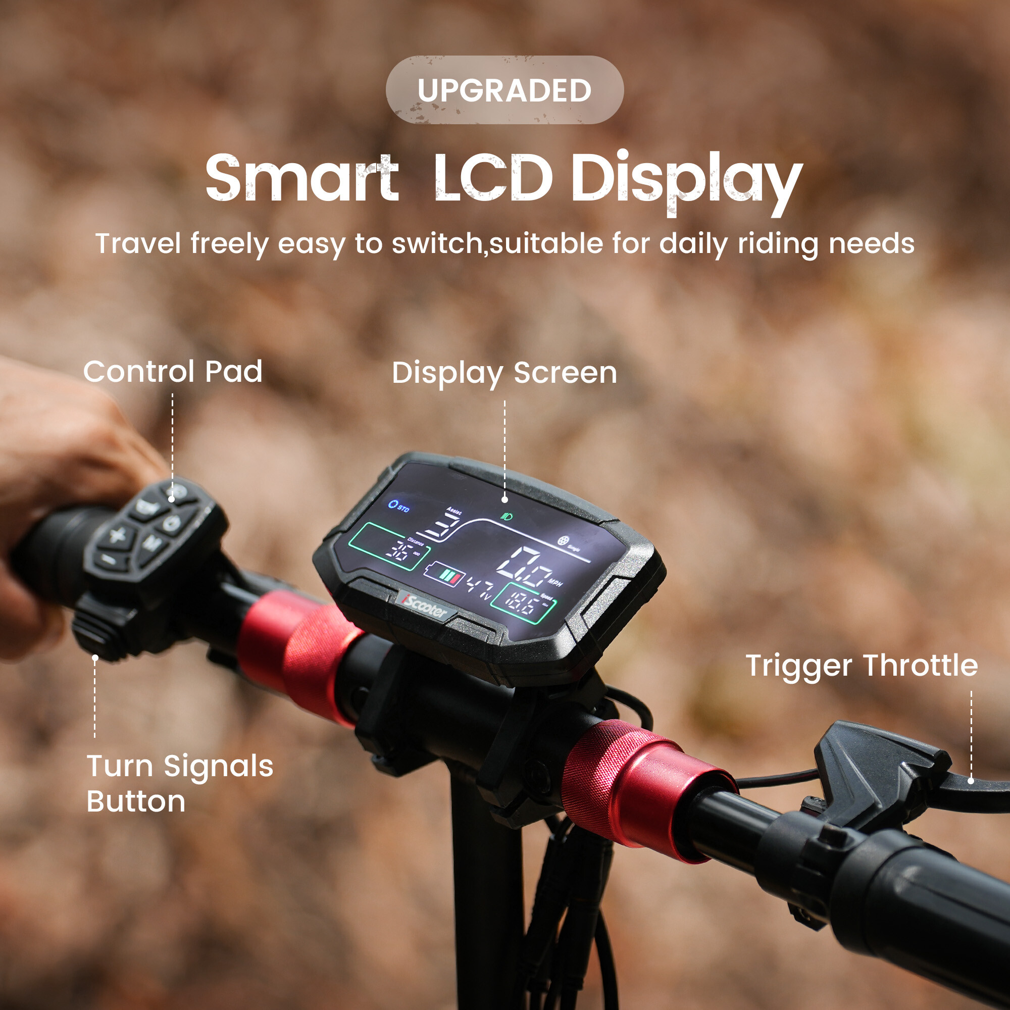 LCD