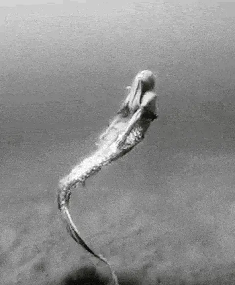 tumblr cc11bb776fe851a555d0678ad094bf06 0714e5db 500