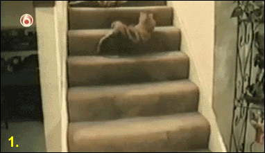 bHHGM.gif