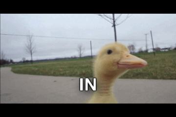 bHHI3.gif