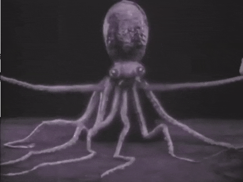 https://s14.gifyu.com/images/bHKMr.gif