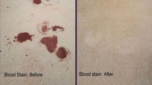 Cleaning today: Book with Buy A Rug, care meets quality!

Don’t wait for that stain to settle in or for the smell to take over your home. At Buy A Rug, we’re ready to restore your carpets and rugs with the care they deserve.
📞 Call us now at  +61 2971 92526
 🌐 Book Online at www.buyarug.com.au
 📍 Serving all suburbs across Sydney, NSW