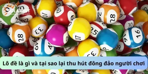 tim hieu va tai sao thu hut lo de