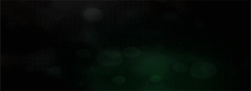 bHN8V.gif