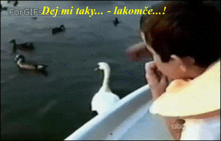 bHOSO.gif
