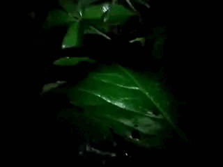 bHUG8.gif