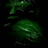 bHUG8