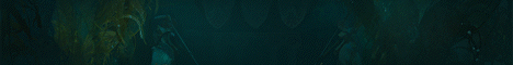 Banner 6