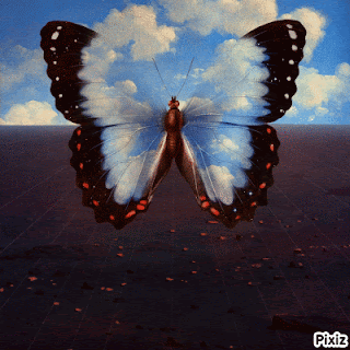 bHbOQ.gif
