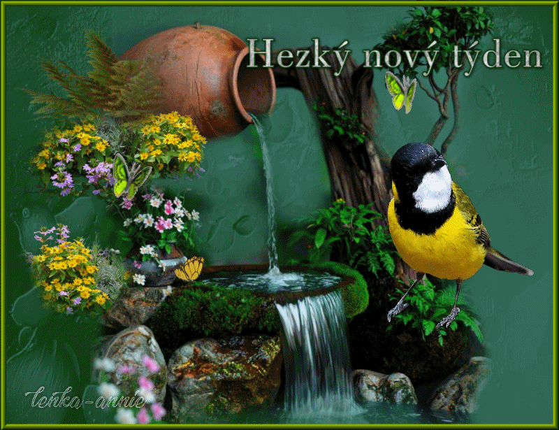 Hezký nový týden