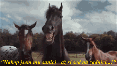 bHfCv.gif