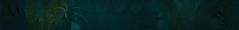 Banner 6