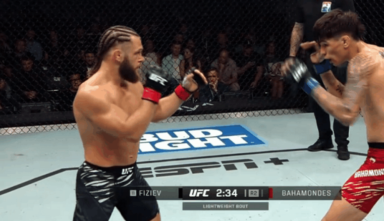 bHkL0.gif
