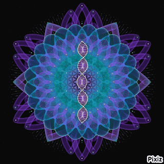 bHm1e.gif