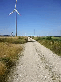 bHmoc.gif