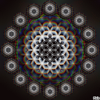 bHn5d.gif