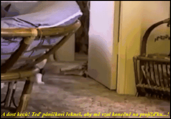 bHoTt.gif