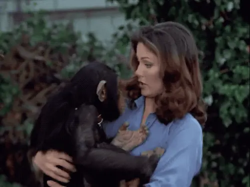 tumblr 0669548e14abf2d371bd4b50b1fee2b4 04c9a9a1 1280