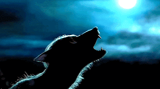 bHxOP.gif