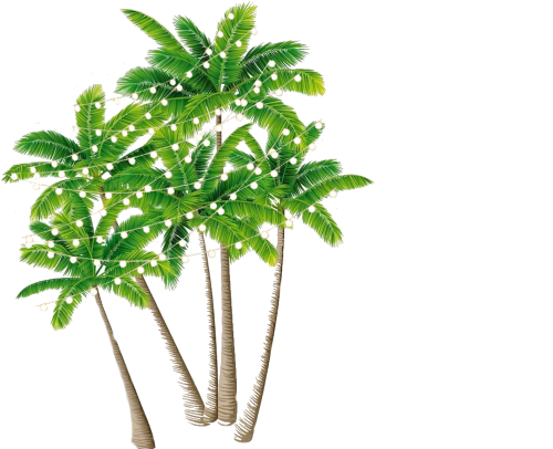 palm tree stand 11