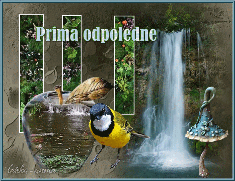 Prima odpoledne