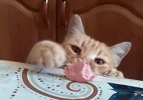 tumblr 3de506477a9973264536970a94c27866 0dc6b4dc 540