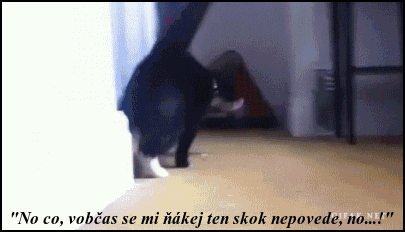 bKAJQ.gif