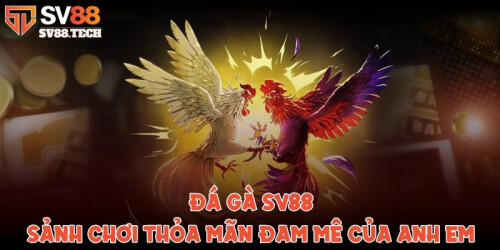 bKAVv.jpg