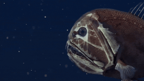 tumblr 286008fa025dd8512714915bbe57282b dd615c94 540