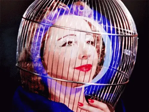 tumblr 47d484241658c55bcf2f37f126f0f8ce 12574455 500