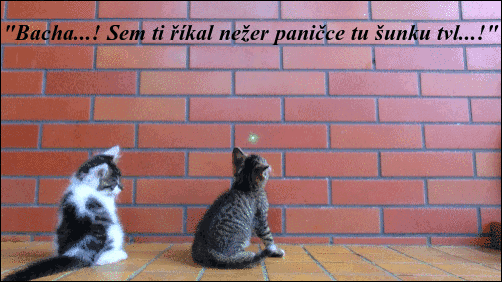 bKH6b.gif