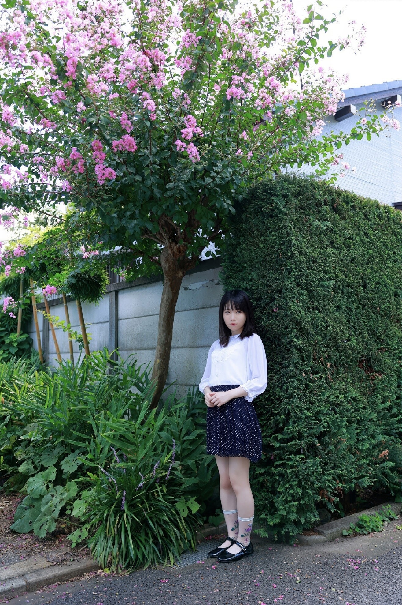 니이 아유미(新居歩美, にい あゆみ) - 플래시 2025/3.25•4.1