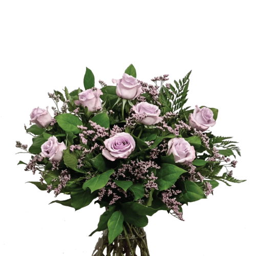 Pink Roses1