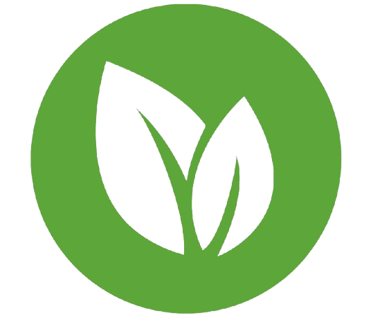 boomserak-amp.pages.dev favicon