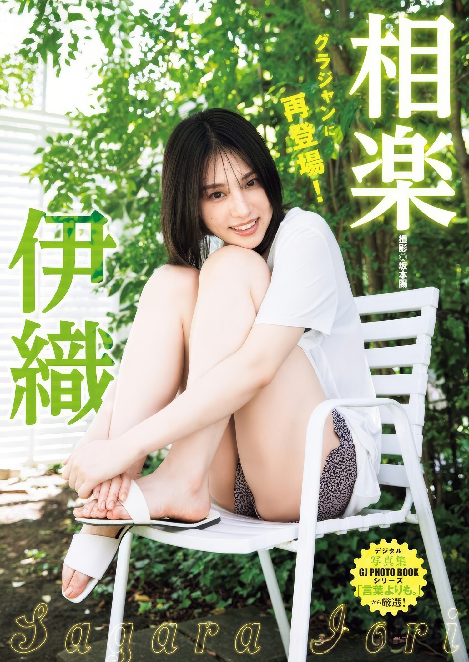 사가라 이오리(相楽伊織, さがら いおり) - 플래시 2025/3.11