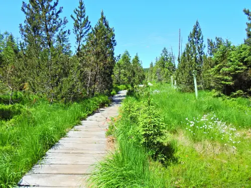 Jizerske hory scaled