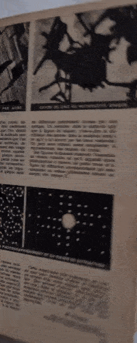 https://s14.gifyu.com/images/bN1w8.gif