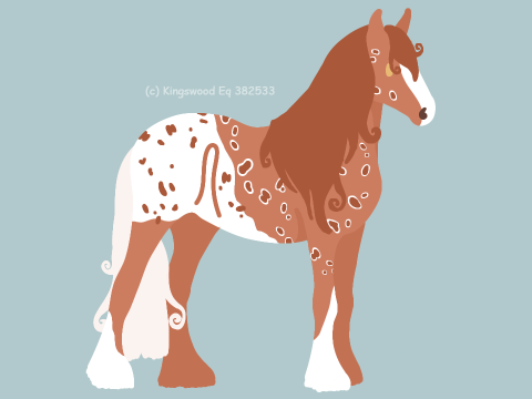 bN6or.png