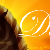 bNA0y