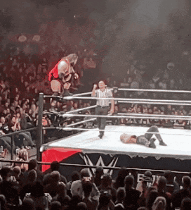 bronson reed tsunami