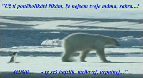 bNIPi.gif