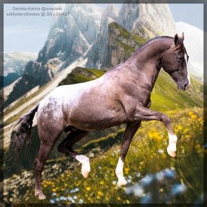 Appy Mountains avi (2)
