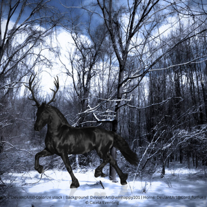 Background Unsplash@Stevan Kamenar Stock DeviantArt@Chunga Stock (300 x 300 px) 6