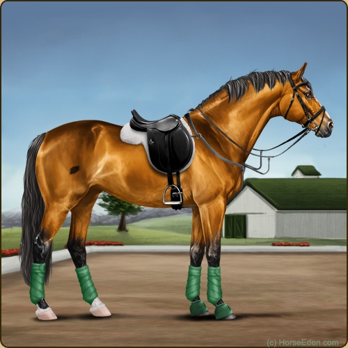 3. Show Jumping set