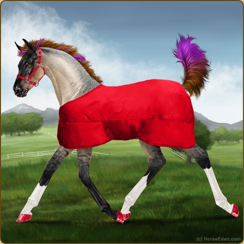 Foal set
