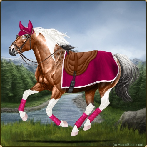 7. Hacking+Trail set